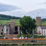 Rüdesheim vom Schiff aus gesehen.jpg